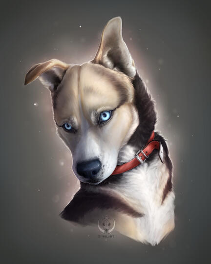 Pet portrait