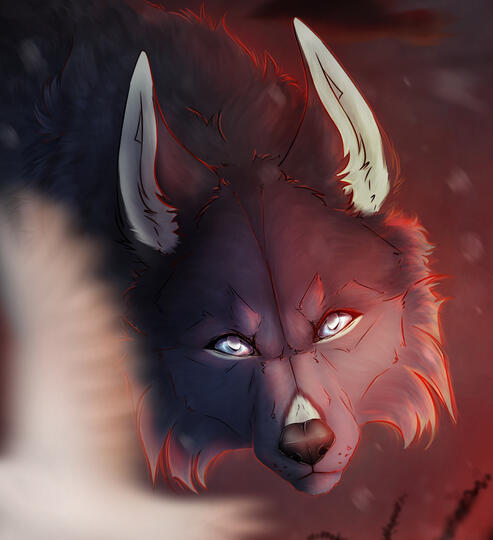 Head / bust